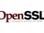 انتشار ۹ آسیب پذیری OpenSSL و وصله‌های امنیتی آن