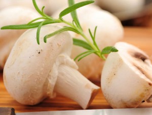 فواید قارچ خوراکی و بهترین روش پخت آن