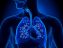 ساختار ریه و انواع بیماری های ریه چیست؟