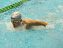 با فواید ورزش شنا آشنا شوید..!